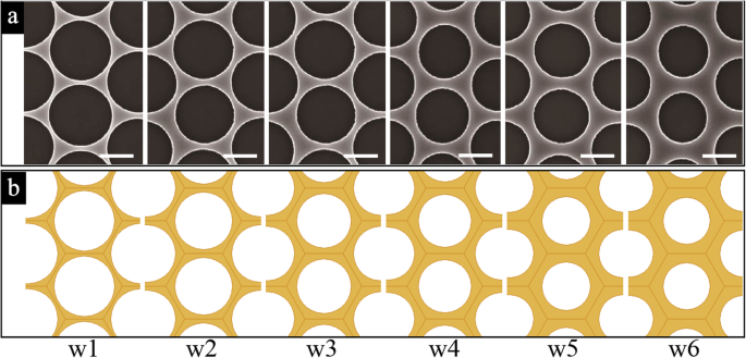 Gold Nanomesh Electrodes: Flexible, Transparent, and Highly Conductive for Advanced Electronics