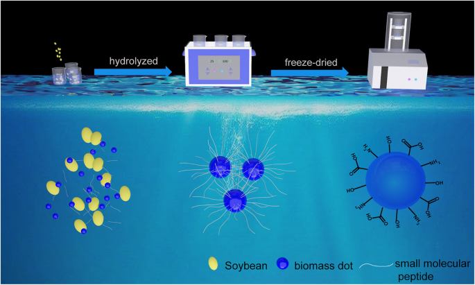 Fluorescent Soybean‑Derived Nano‑Biomass Dots via Ultrasonic Extraction for Sensitive Fe3+ Detection