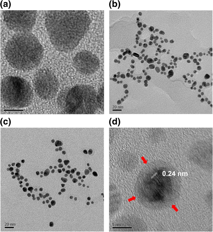Shape-Dependent Cytotoxicity & Cellular Uptake of Green Tea‑Reduced Gold Nanoparticles in Cancer Cells