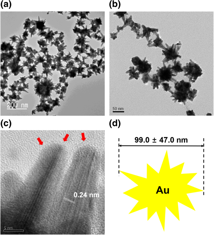Shape-Dependent Cytotoxicity & Cellular Uptake of Green Tea‑Reduced Gold Nanoparticles in Cancer Cells