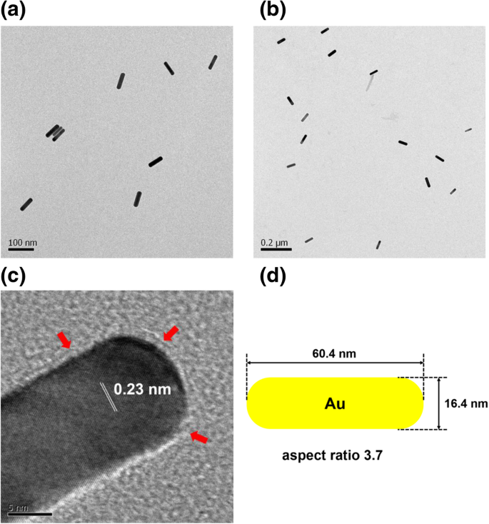 Shape-Dependent Cytotoxicity & Cellular Uptake of Green Tea‑Reduced Gold Nanoparticles in Cancer Cells