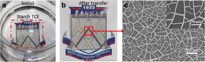 High-Performance Recyclable Starch‑Ag Networks for Transparent Conductive Electrodes in Flexible Joint Sensors