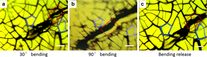 High-Performance Recyclable Starch‑Ag Networks for Transparent Conductive Electrodes in Flexible Joint Sensors