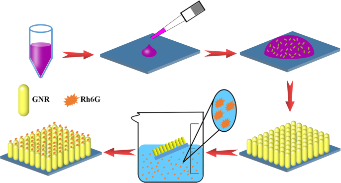 Self‑Assembled Gold Nanorod Vertical Arrays: Mechanistic Insights and High‑Sensitivity SERS Applications