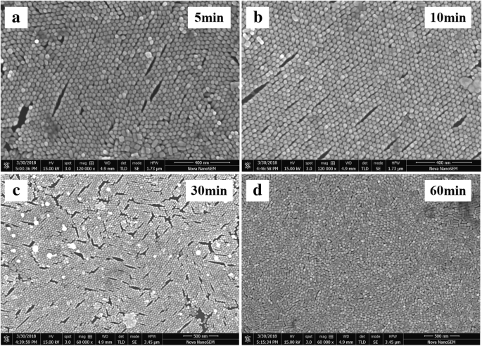 Self‑Assembled Gold Nanorod Vertical Arrays: Mechanistic Insights and High‑Sensitivity SERS Applications