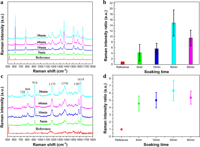Self‑Assembled Gold Nanorod Vertical Arrays: Mechanistic Insights and High‑Sensitivity SERS Applications