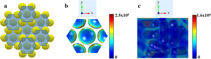 Self‑Assembled Gold Nanorod Vertical Arrays: Mechanistic Insights and High‑Sensitivity SERS Applications