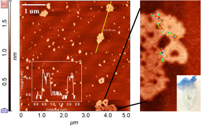 Large‑Area Monolayer Reduced Graphene Oxide Assembly via Deep UV Irradiation in Solution