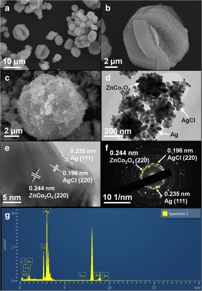 Enhanced Visible-Light Photocatalysis by Anchoring Plasmonic Ag@AgCl Nanocrystals on ZnCo₂O₄ Microspheres