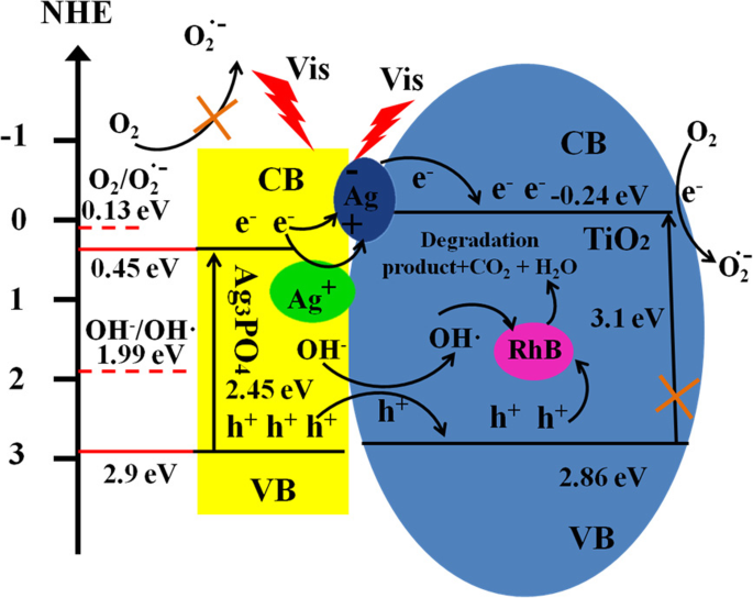 Enhanced Visible‑Light Photocatalysis via Z‑Scheme Ag3PO4/TiO2 Heterojunctions
