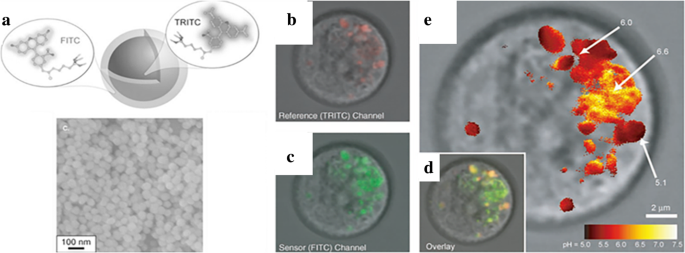 Comprehensive Review of Luminescent Silica Nanoparticles: Classification, Synthesis, and Practical Applications