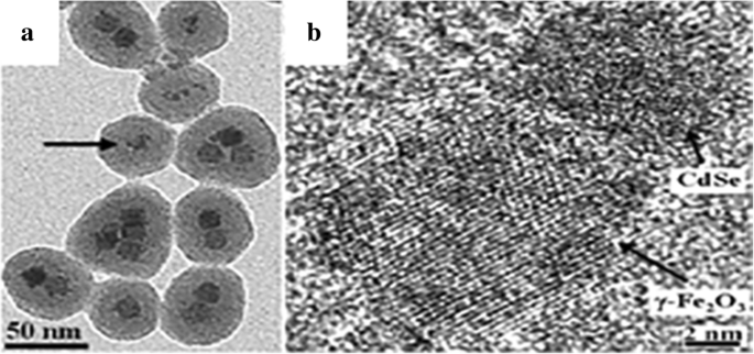 Comprehensive Review of Luminescent Silica Nanoparticles: Classification, Synthesis, and Practical Applications