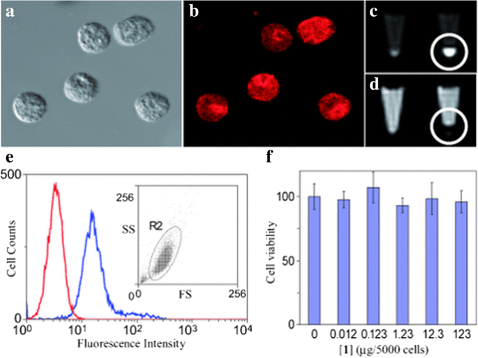 Comprehensive Review of Luminescent Silica Nanoparticles: Classification, Synthesis, and Practical Applications