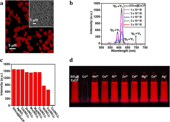 Comprehensive Review of Luminescent Silica Nanoparticles: Classification, Synthesis, and Practical Applications