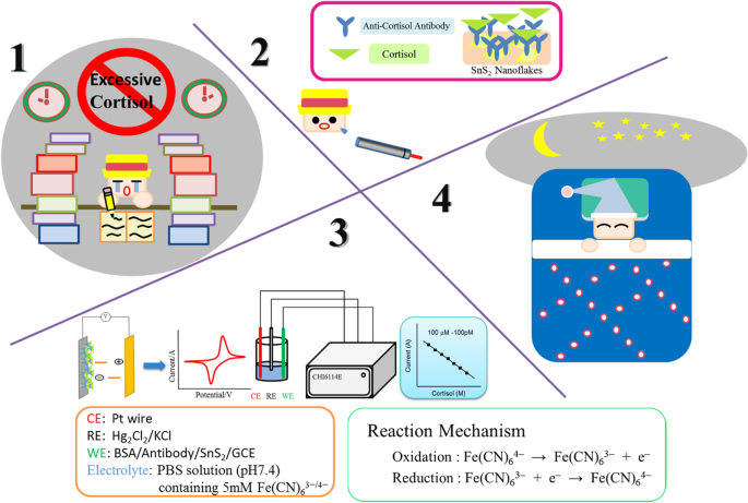 Tin Disulfide Nanoflake-Based Electrochemical Biosensor for Rapid, Sensitive Detection of Salivary Cortisol