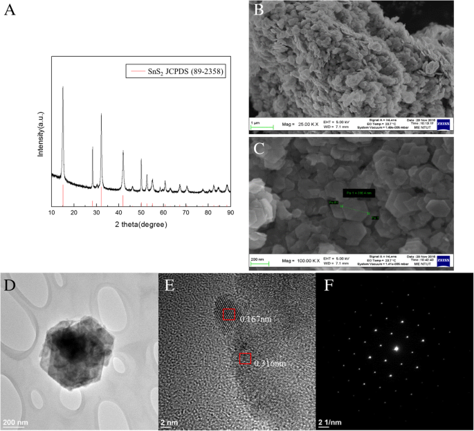 Tin Disulfide Nanoflake-Based Electrochemical Biosensor for Rapid, Sensitive Detection of Salivary Cortisol