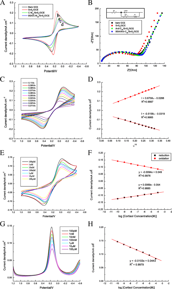 Tin Disulfide Nanoflake-Based Electrochemical Biosensor for Rapid, Sensitive Detection of Salivary Cortisol