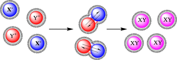 Magnetic Core‑Shell Nanoparticles: Advancing Targeted Drug Delivery, Imaging, and Antimicrobial Therapies