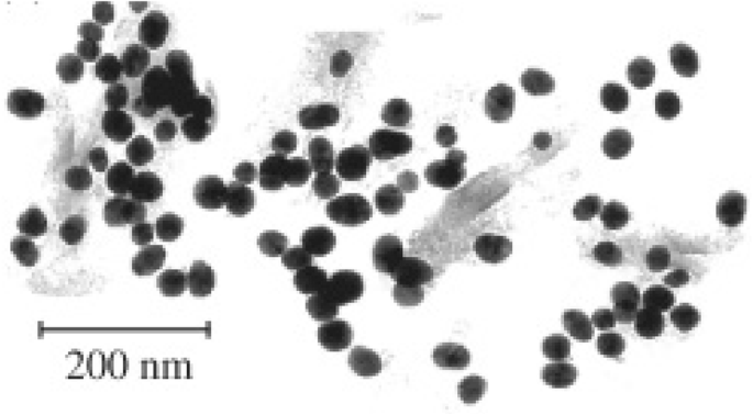 Magnetic Core‑Shell Nanoparticles: Advancing Targeted Drug Delivery, Imaging, and Antimicrobial Therapies