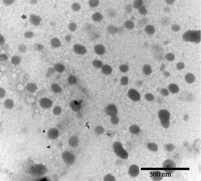 Magnetic Core‑Shell Nanoparticles: Advancing Targeted Drug Delivery, Imaging, and Antimicrobial Therapies