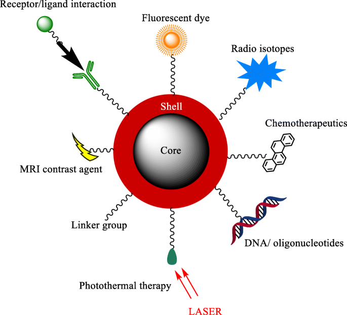 Magnetic Core‑Shell Nanoparticles: Advancing Targeted Drug Delivery, Imaging, and Antimicrobial Therapies