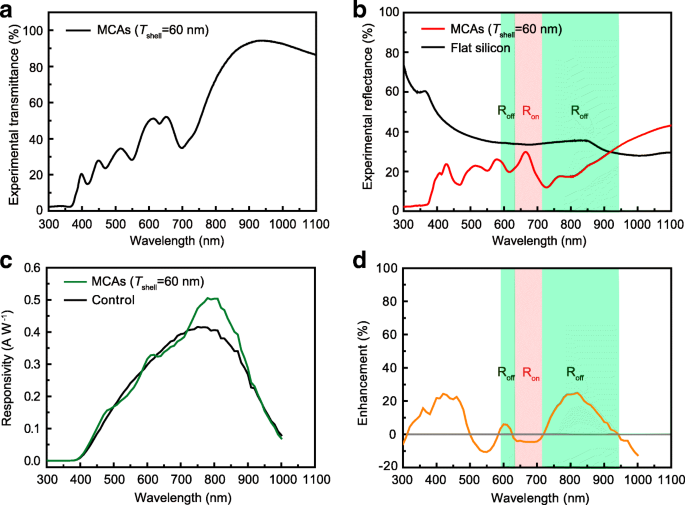 Enhancing Broadband Photodetection with Self‑Assembled Dielectric Microcavity Arrays