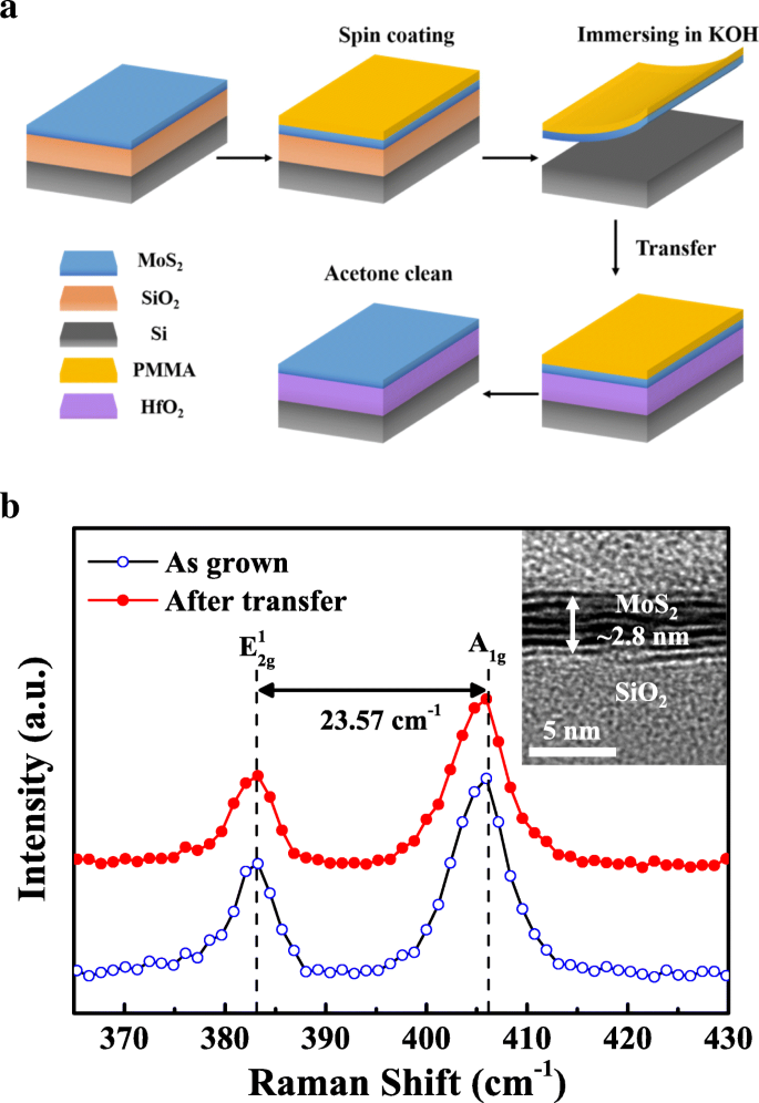Engineering Band Alignment in MoS₂/HfO₂ Heterojunctions via Controlled Nitridation