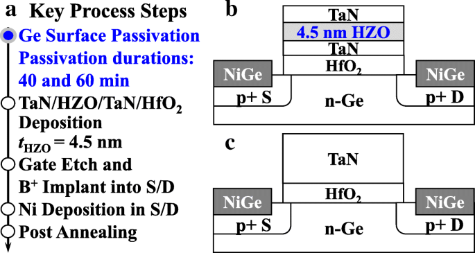Comparative Analysis of Negative‑Capacitance FETs Across MOS Capacitances