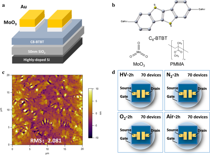 How Ambient Gases Influence Electrical Performance in Solution-Processed C8-BTBT Thin-Film Transistors