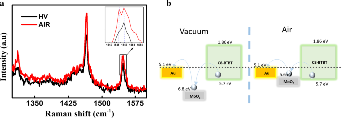 How Ambient Gases Influence Electrical Performance in Solution-Processed C8-BTBT Thin-Film Transistors
