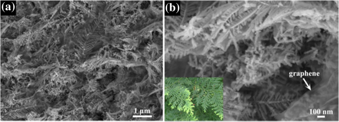 One‑Step In Situ Assembly of Cypress‑Leaf‑Like Cu(OH)₂/Graphene Nanosheets for Ultra‑Stable, High‑Performance Supercapacitor Electrodes