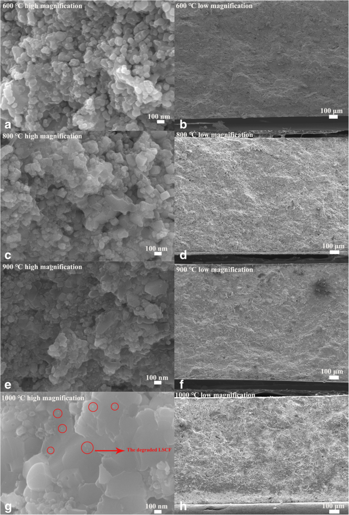 Impact of Sintering Temperature on the Electrochemical Performance of Ce0.8Sm0.05Ca0.15O2-δ/La0.6Sr0.4Co0.2Fe0.8O3-δ Heterostructure Electrolytes