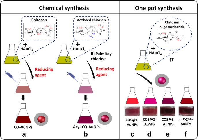 Enhanced Gene Delivery Using Gold Nanoparticles Functionalized with Chitosan, N‑Acylated Chitosan, and Chitosan Oligosaccharide