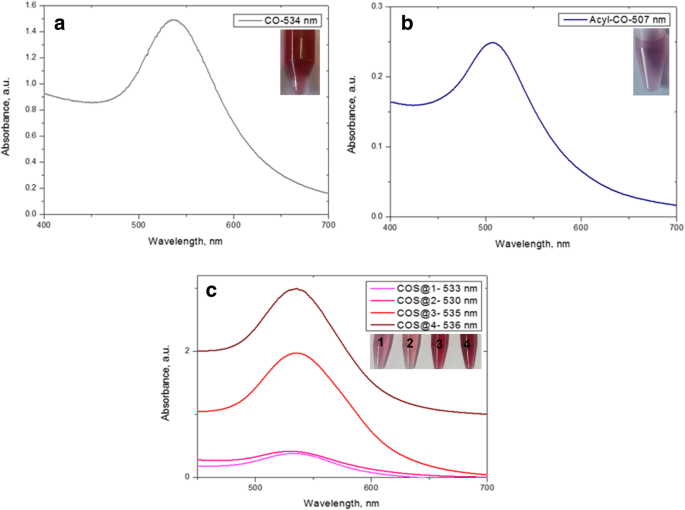 Enhanced Gene Delivery Using Gold Nanoparticles Functionalized with Chitosan, N‑Acylated Chitosan, and Chitosan Oligosaccharide