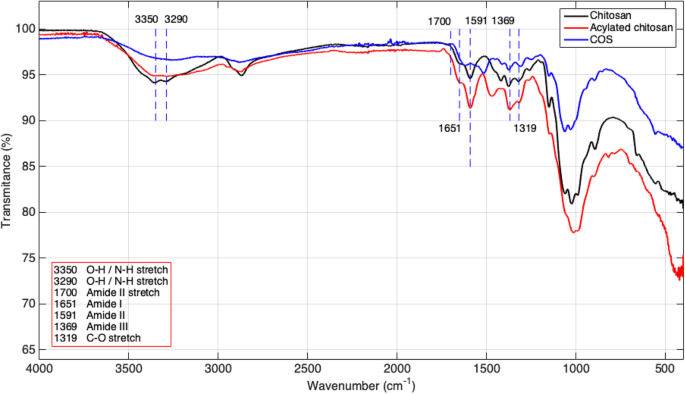 Enhanced Gene Delivery Using Gold Nanoparticles Functionalized with Chitosan, N‑Acylated Chitosan, and Chitosan Oligosaccharide