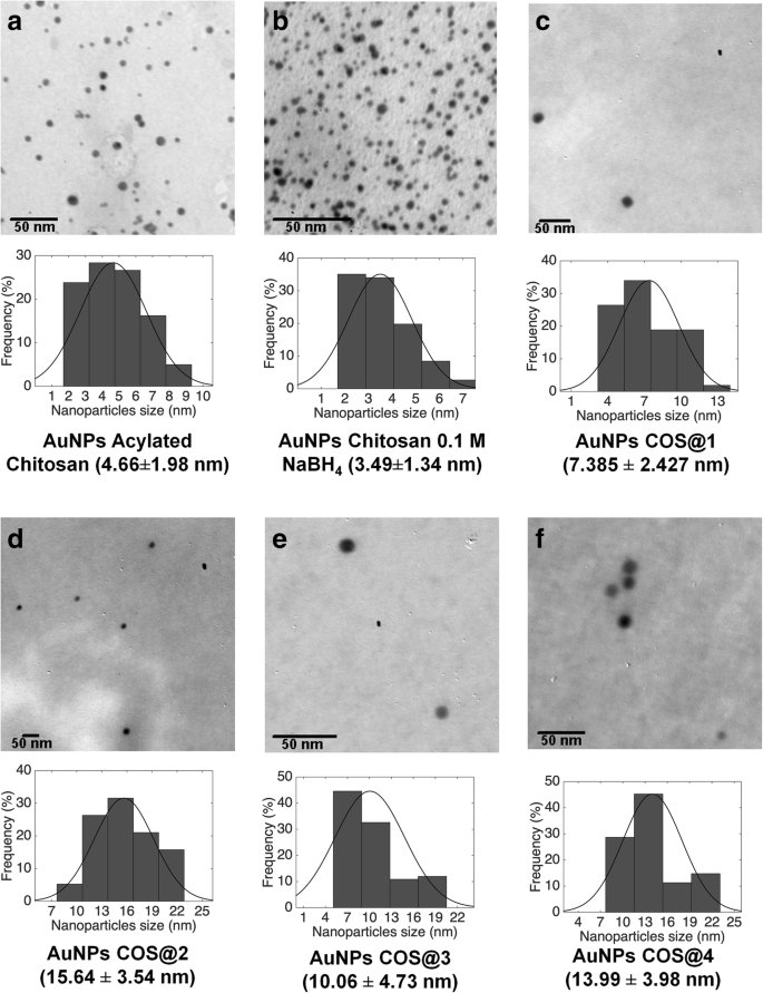 Enhanced Gene Delivery Using Gold Nanoparticles Functionalized with Chitosan, N‑Acylated Chitosan, and Chitosan Oligosaccharide