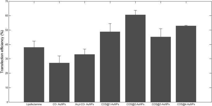 Enhanced Gene Delivery Using Gold Nanoparticles Functionalized with Chitosan, N‑Acylated Chitosan, and Chitosan Oligosaccharide
