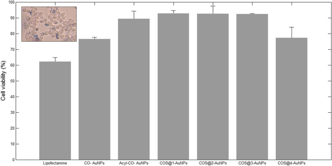 Enhanced Gene Delivery Using Gold Nanoparticles Functionalized with Chitosan, N‑Acylated Chitosan, and Chitosan Oligosaccharide