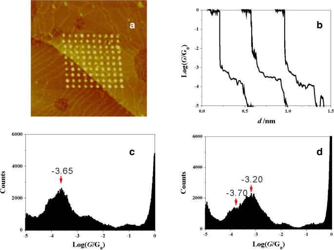 Controlling Contact Geometry in Carboxylic‑Acid Molecular Junctions via Side‑Group Position