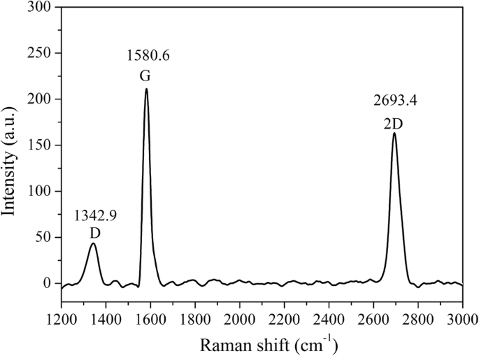 Magnetic Graphene Field‑Effect Transistor Biosensor for Ultra‑Sensitive Single‑Strand DNA Detection