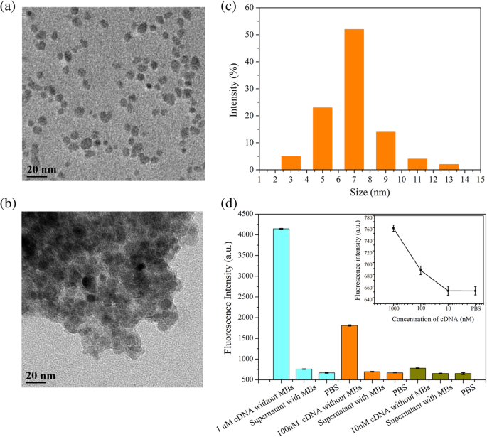 Magnetic Graphene Field‑Effect Transistor Biosensor for Ultra‑Sensitive Single‑Strand DNA Detection