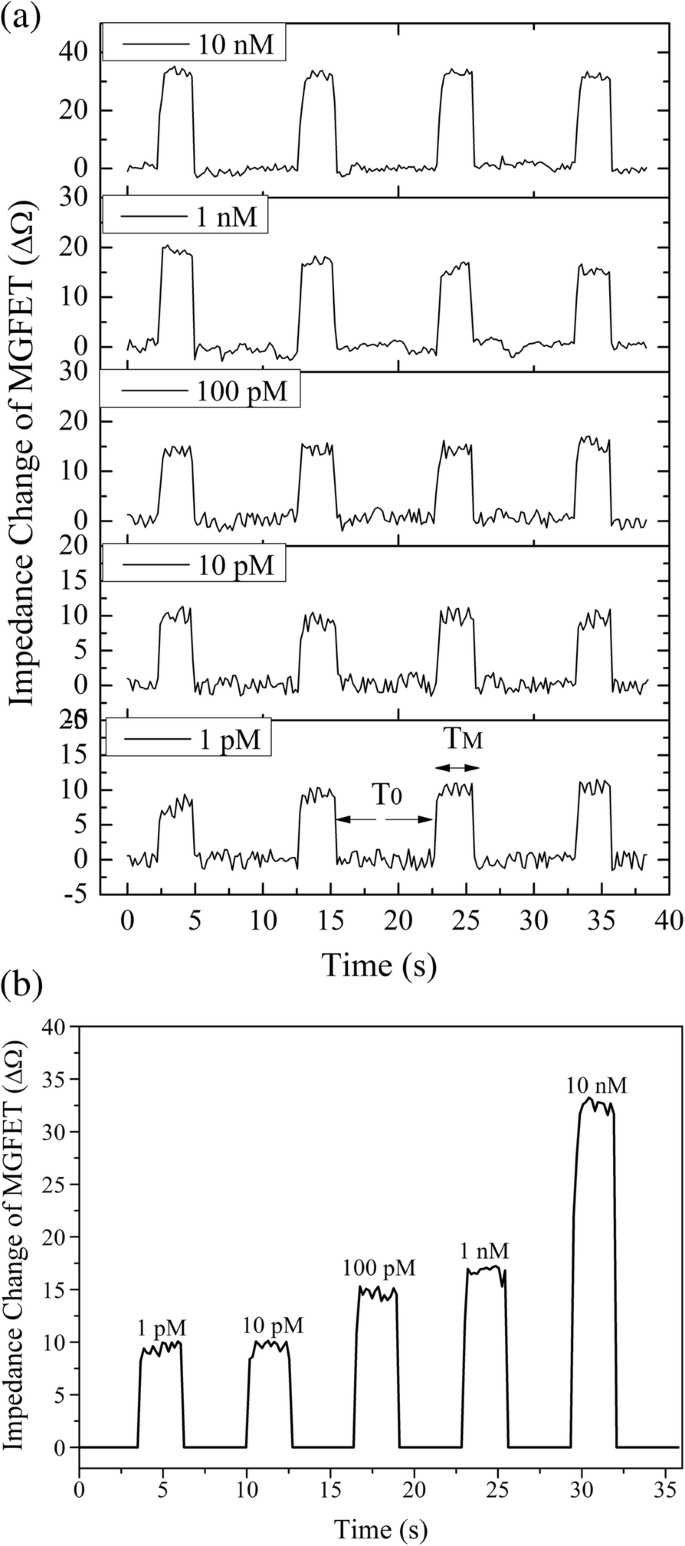 Magnetic Graphene Field‑Effect Transistor Biosensor for Ultra‑Sensitive Single‑Strand DNA Detection