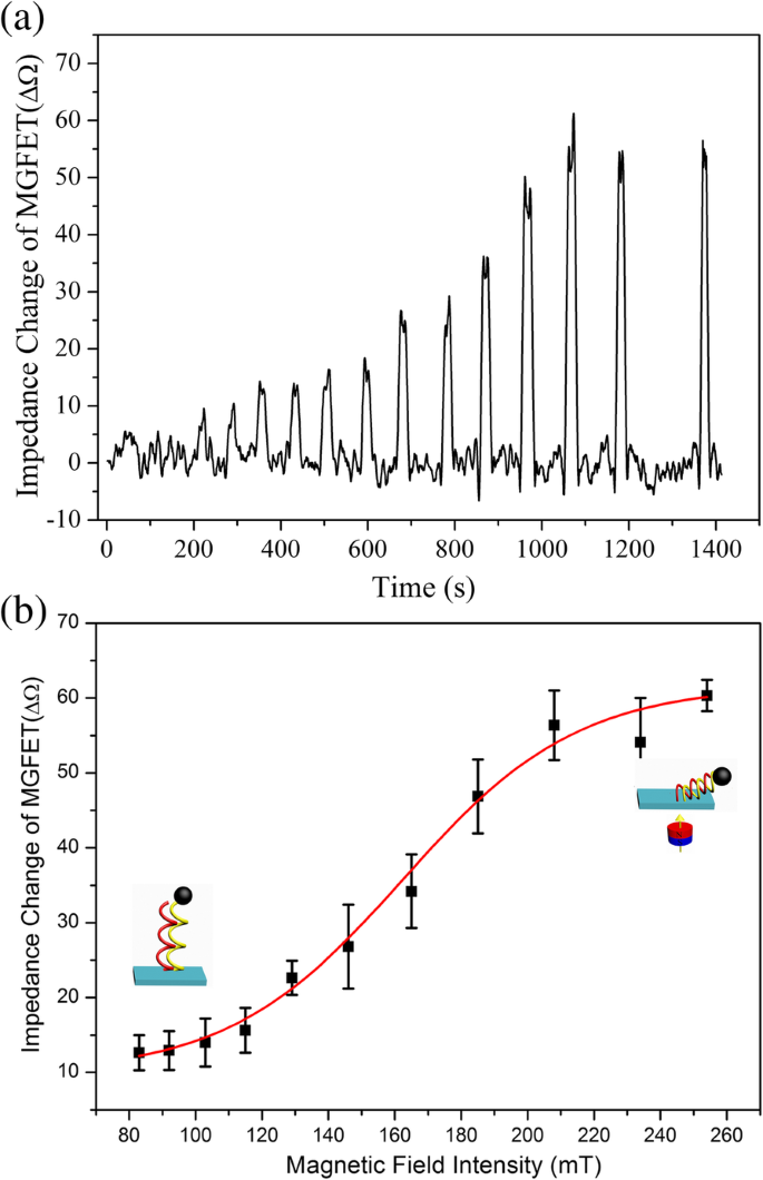Magnetic Graphene Field‑Effect Transistor Biosensor for Ultra‑Sensitive Single‑Strand DNA Detection