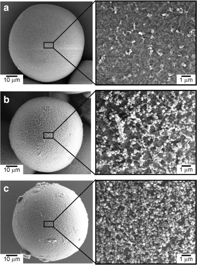 Optimized Microstructure and Enhanced Mechanical Properties of Al₂O₃‑Based Nanocarbon Composites via Electrostatic Assembly