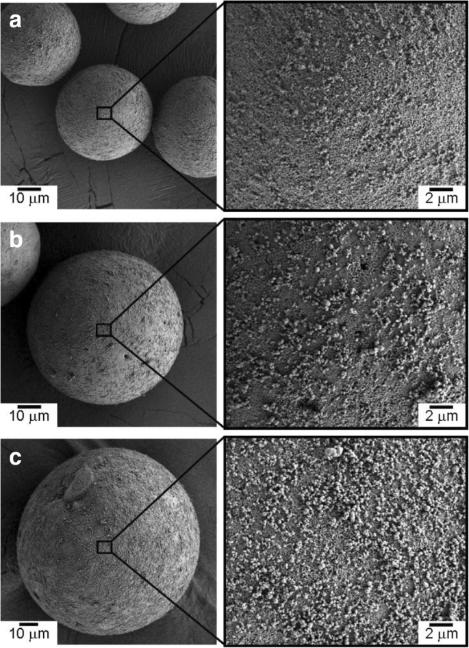 Optimized Microstructure and Enhanced Mechanical Properties of Al₂O₃‑Based Nanocarbon Composites via Electrostatic Assembly