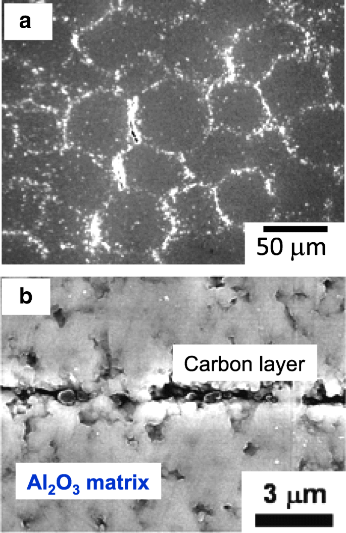 Optimized Microstructure and Enhanced Mechanical Properties of Al₂O₃‑Based Nanocarbon Composites via Electrostatic Assembly