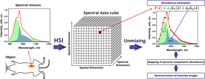 Advanced Hyperspectral Imaging for Multiplexed Detection of Short-Wave Infrared Nanoprobes in Biological Systems