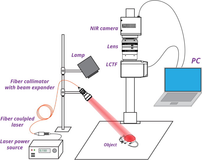 Advanced Hyperspectral Imaging for Multiplexed Detection of Short-Wave Infrared Nanoprobes in Biological Systems
