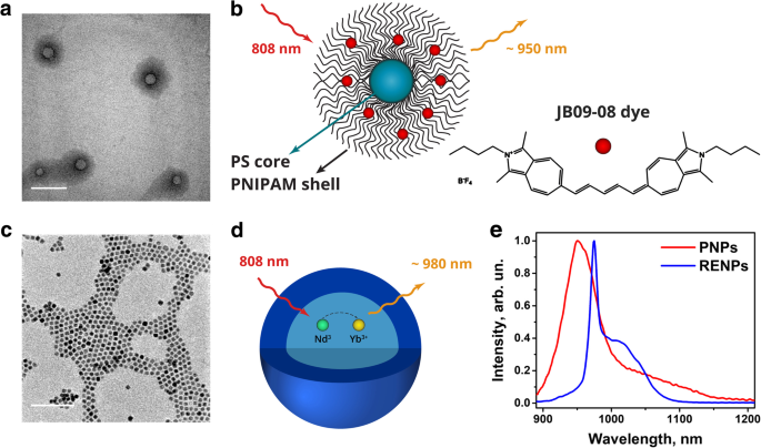 Advanced Hyperspectral Imaging for Multiplexed Detection of Short-Wave Infrared Nanoprobes in Biological Systems
