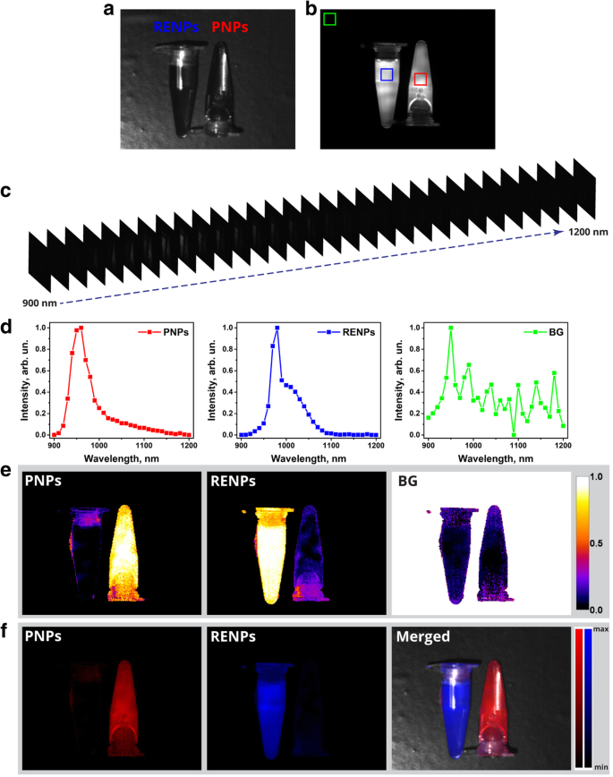 Advanced Hyperspectral Imaging for Multiplexed Detection of Short-Wave Infrared Nanoprobes in Biological Systems